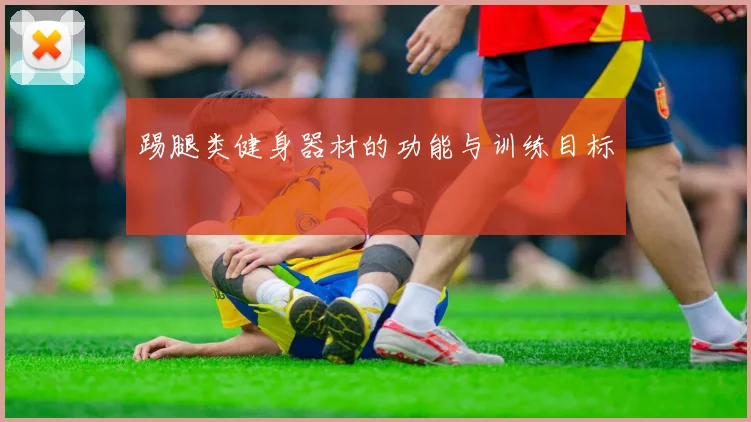 踢腿类健身器材的功能与训练目标