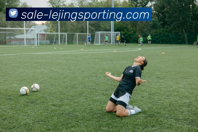 乐竞体育平台生态图